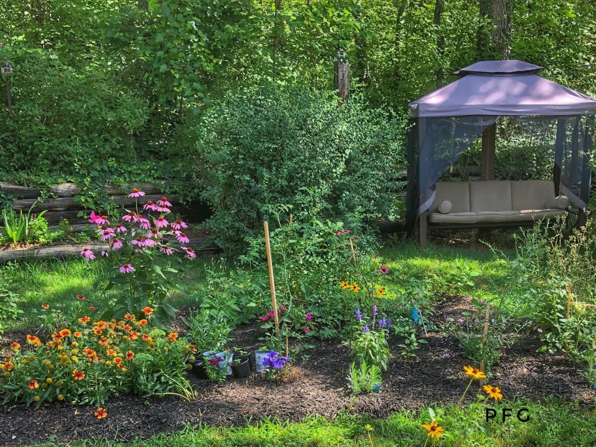 Cozy Cottage Retreat Lambton Shores المظهر الخارجي الصورة