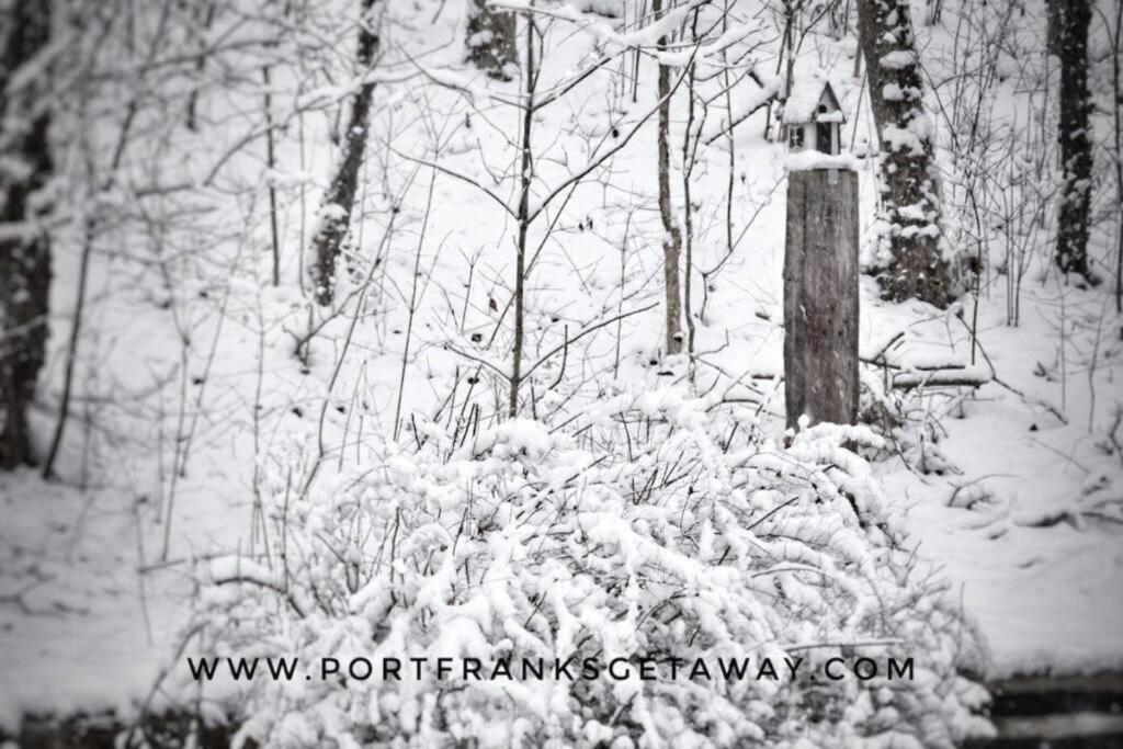 Cozy Cottage Retreat Lambton Shores المظهر الخارجي الصورة