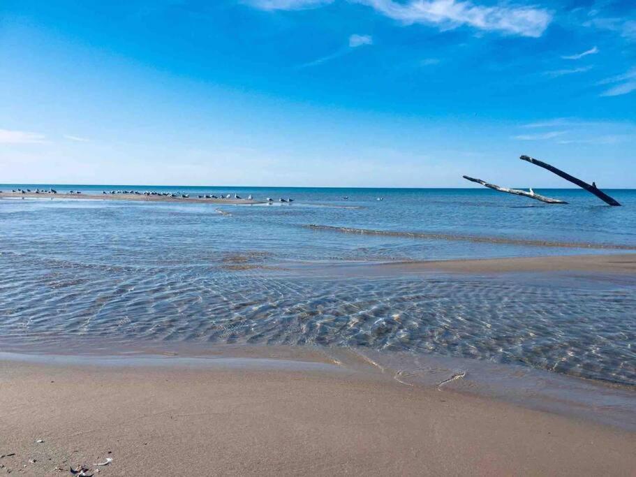 Cozy Cottage Retreat Lambton Shores المظهر الخارجي الصورة